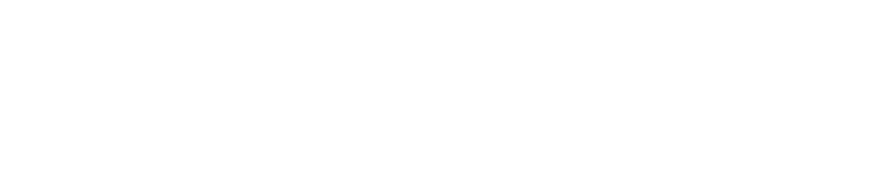 The Verge